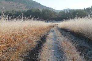 Za_vsakim_mrazom_posije_sonce_Danilo del Piero